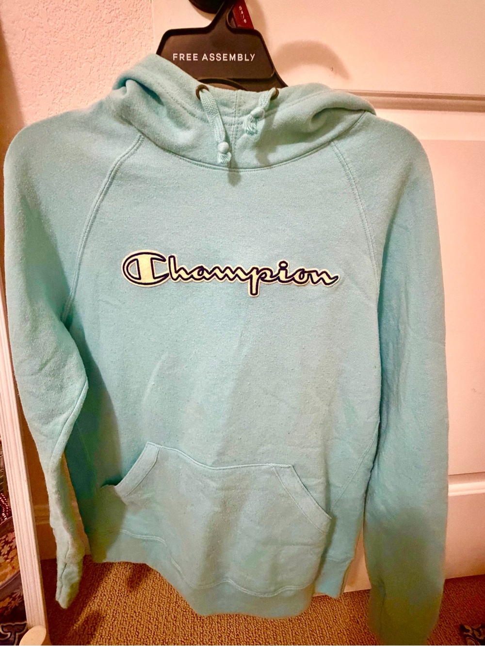 Champion Women's Light Teal Hoodie Sweatshirt with Script Logo